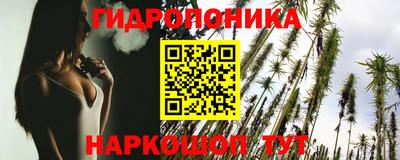 не бодяженный Сланцы