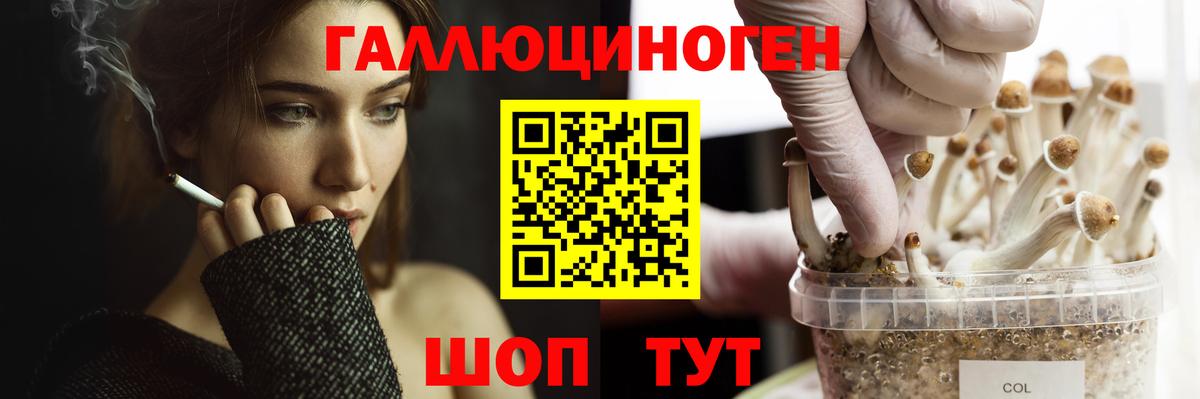 Выкса  Галлюциногенные грибы Psilocybe  Вход с VPN 